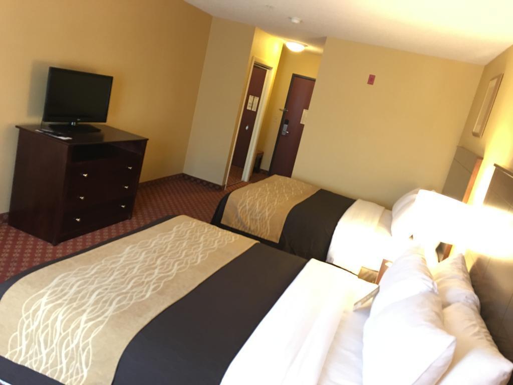 Comfort Inn Naugatuck-Shelton, Ct Exterior foto